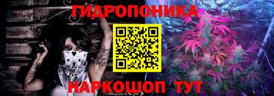 мдпв Рыбинск